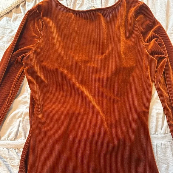 Bear Dance Velvet Bodycon Long Sleeve Mini Dress - Picture 6 of 6